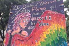 BP26oiseaux