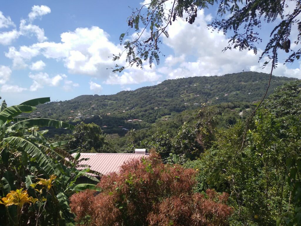 Image de la campagne martiniquaise vue du sud de l'île